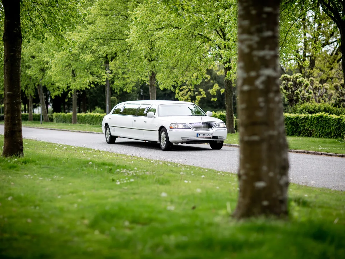 A white stretch limousine travels along a tree-lined road.